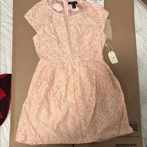 Forever 21 Pink Lace Formal Dress